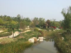 -武清南湖绿博园