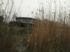 -九里河湿地公园
