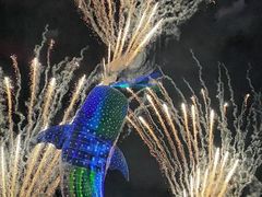 -珠海长隆海洋王国