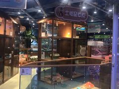 -龟与熊猫宠物公园(南坪店)