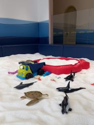 点击看大图 -超级奈尔宝SUPER NEOBIO(杭州星光店)