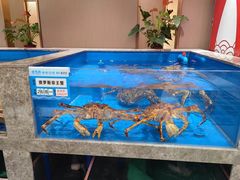 -帝皇海海鲜豆捞(桐泾商务广场店)