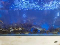 -马王堆海鲜水产市场