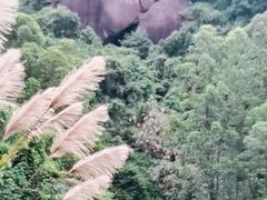-火炉山森林公园