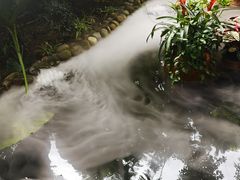 -西江印象酒楼