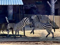 -鄂尔多斯野生动物园