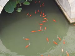 -北京市劳动人民文化宫(太庙)