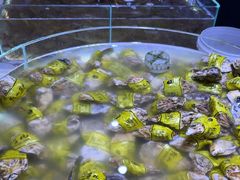 -聚盛源蒸汽海鲜火锅烤肉自助(巨川金海岸购物广场店)