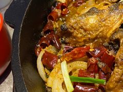 -老板恋上鱼(恒隆广场店)