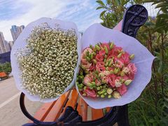 -三圣花乡旅游区