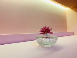 -斐尔国际皮肤管理中心