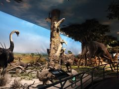 -国家自然博物馆