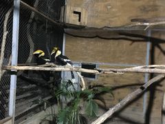 -清迈夜间动物园