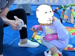 -千户高端家政育儿嫂·保姆·儿童陪伴师