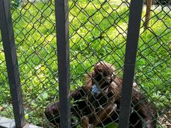 -祥源·阜阳生态乐园