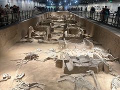 -洛阳周王城天子驾六博物馆