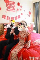 -Sunny喜铺婚礼定制·求婚策划