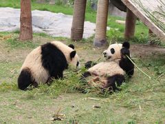 -野生动物园-停车场