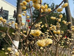 -成飞公园