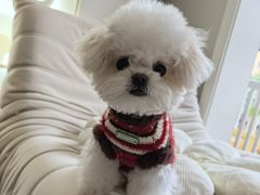 -comecome来吧宠物(奥克斯中心店)