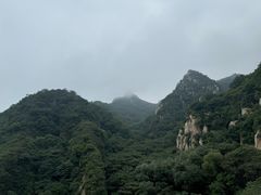 -大岭沟猕猴桃谷风景区