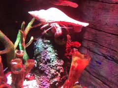 -沈阳海洋探索中心