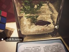 桔子水晶酒店(西湖店)-杭州西湖桔子水晶酒店
