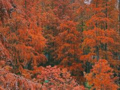 -青山湖景区