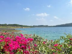 -露天矿生态公园