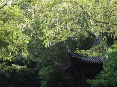 -宁波五龙潭景区