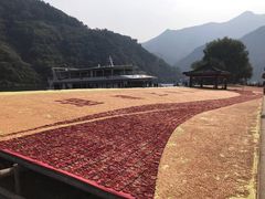 -新安江山水画廊风景区