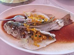 黄贡椒蒸鲈鱼-阿拉斯加·海货(马王堆店)