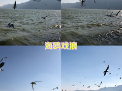 -滇池海埂公园