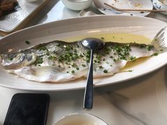招牌清蒸钱塘江白条-柳莺湖上·湖景餐厅·江南菜(西湖店)