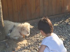 -HERRE·FARM 赫尔露营农场·团建聚会包场