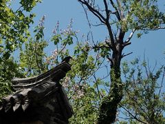 -刘公岛景区