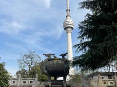 -龟山风景区-龟山电视塔