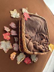 -西瓜庄园儿童摄影