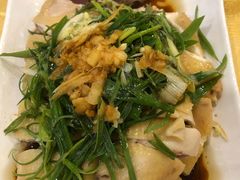 真味白切鸡-粤·向群饭店(泮塘路店)