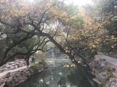 -井水小厨·湘菜(活力广场店)