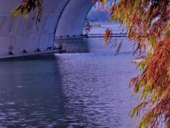 -尚贤河湿地