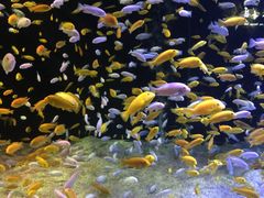 -成都浩海立方海洋公园