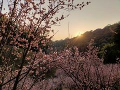 -桃花涧
