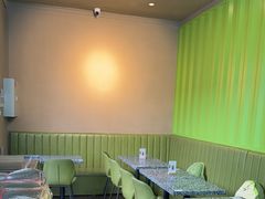 -油梨树AVOCADO TREE(顺义新国展店)