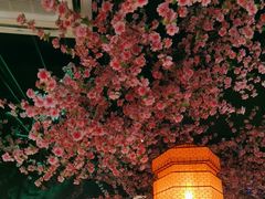 -荷塘秋月·本帮江浙菜(国权路店)