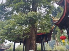 -峨眉山报国寺