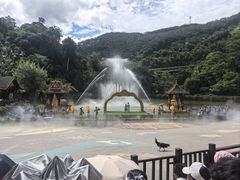 -西双版纳原始森林公园