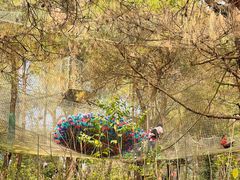 -芦仙山景区-飞越丛林探险乐园