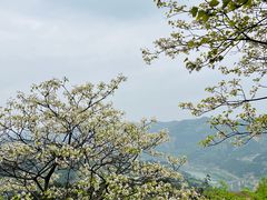 -金堂县云顶石城风景区