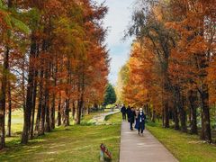 -大理.老字号渝记酸萝卜乌鱼(古城总店)